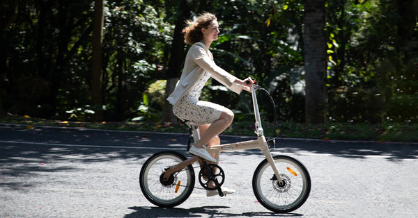 How to Maintain Carbon Fiber Electric Bike in Summer