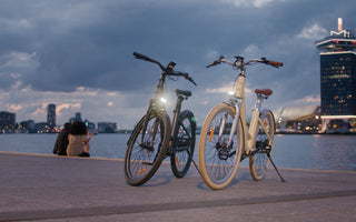 Torque Sensor E-bike UK