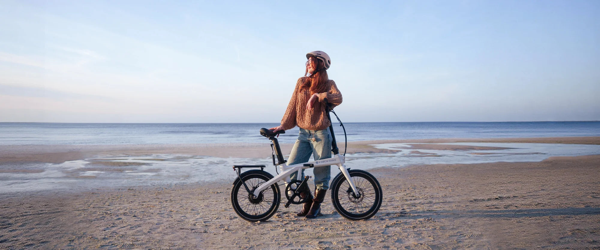 Air carbon pro folding electric bike