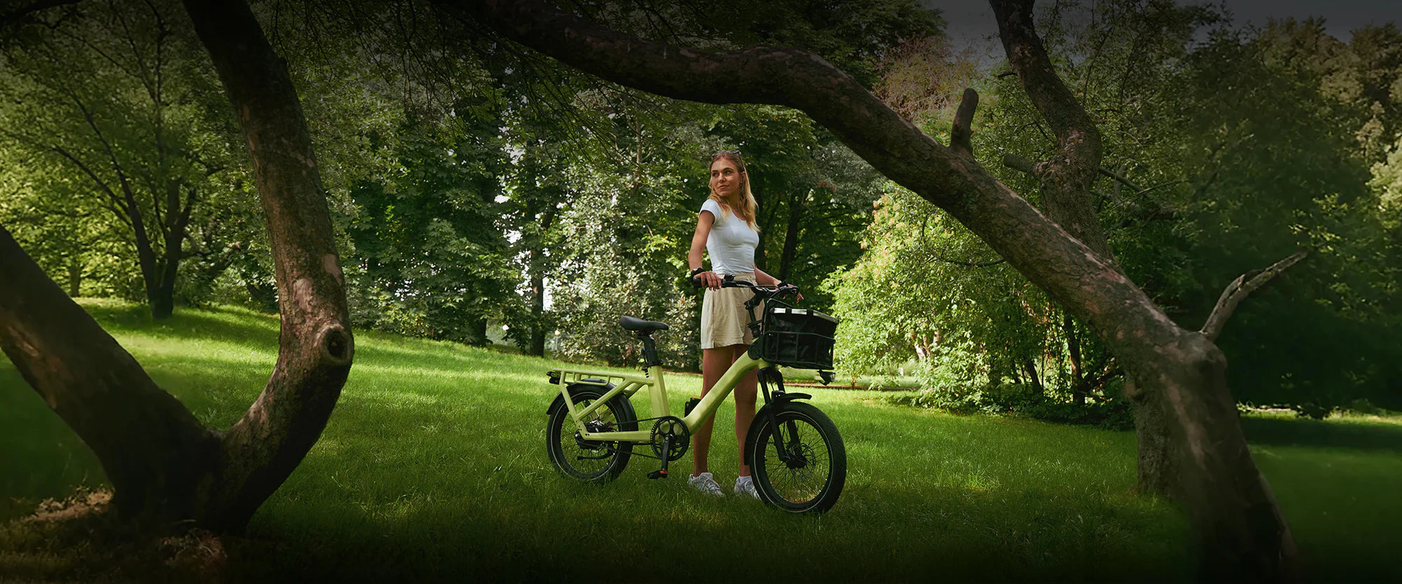 air one pro banner family e-bike